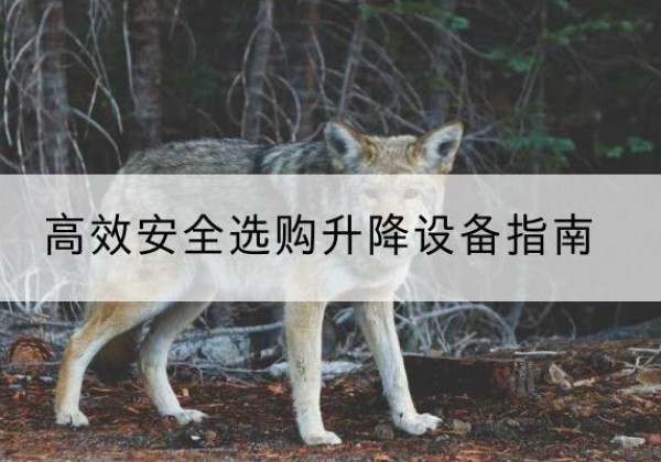 玉田升降货梯厂家推荐-*安全选购升降设备指南
