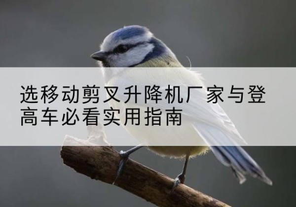 玉田电动升降机厂家-选移动剪叉升降机厂家与登高车必看实用指南